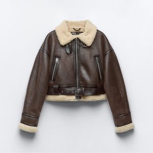 Zara Leather Shearling Jacket